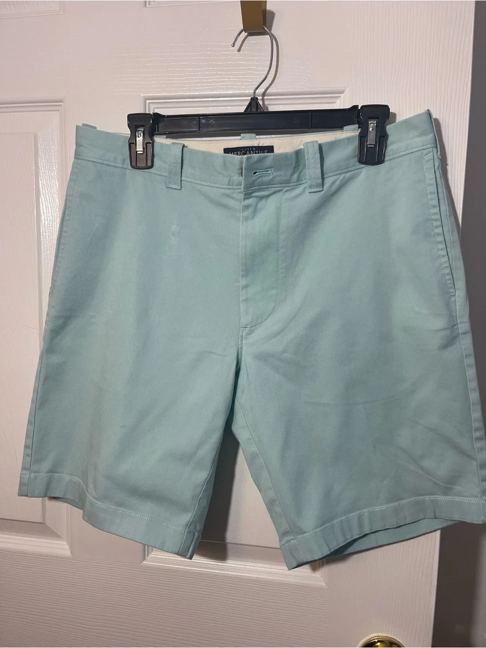 J. Crew Mint Green Flat Front Chino Shorts